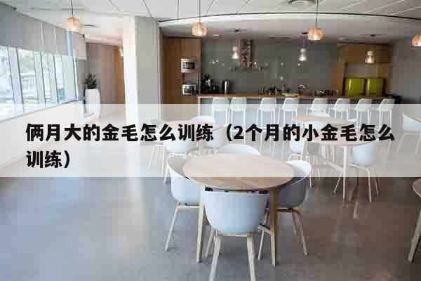 俩月大的金毛怎么训练（2个月的小金毛怎么训练）