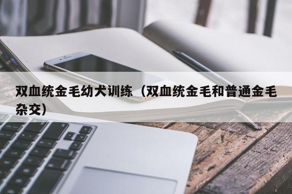 双血统金毛幼犬训练（双血统金毛和普通金毛杂交）