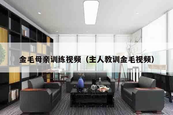 金毛母亲训练视频（主人教训金毛视频）