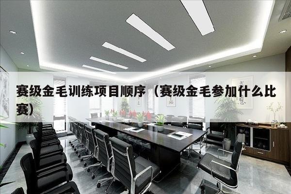 赛级金毛训练项目顺序（赛级金毛参加什么比赛）