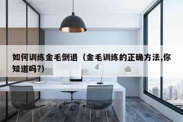 如何训练金毛倒退（金毛训练的正确方法,你知道吗?）