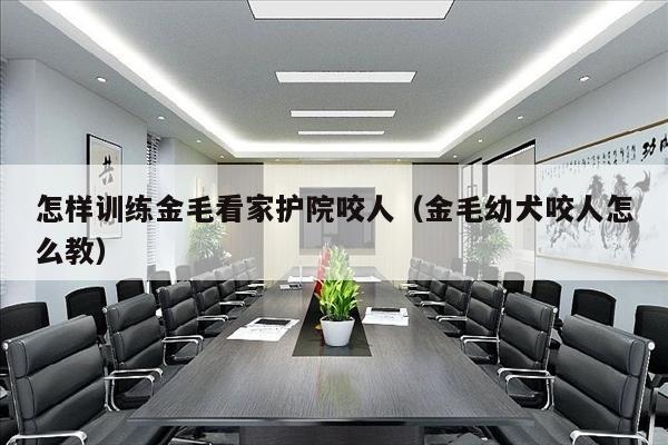 怎样训练金毛看家护院咬人（金毛幼犬咬人怎么教）