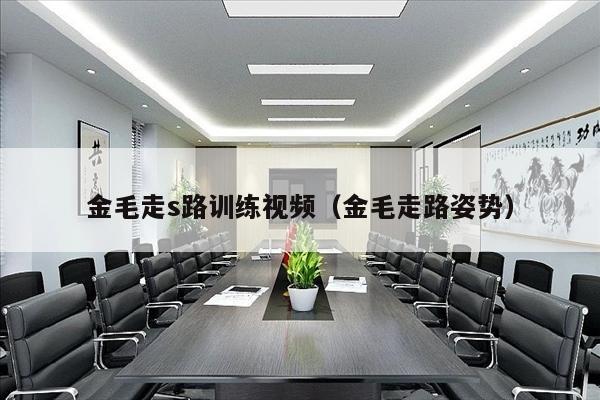 金毛走s路训练视频（金毛走路姿势）