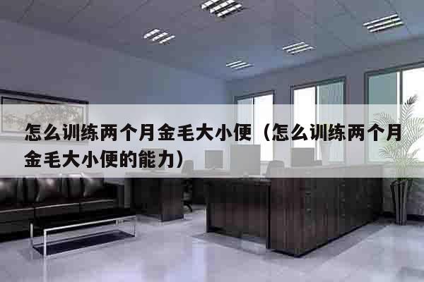 怎么训练两个月金毛大小便（怎么训练两个月金毛大小便的能力）
