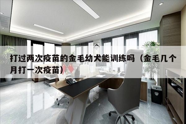 打过两次疫苗的金毛幼犬能训练吗（金毛几个月打一次疫苗）