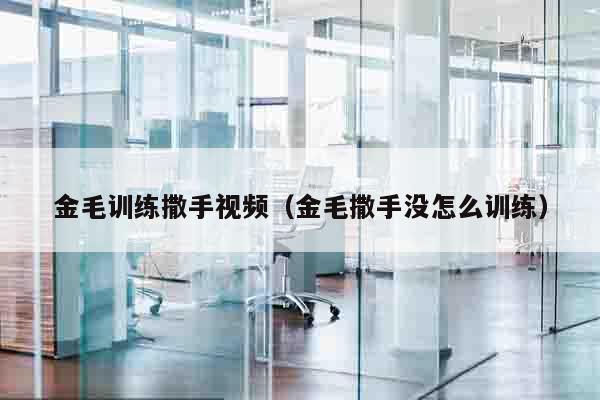 金毛训练撒手视频（金毛撒手没怎么训练）