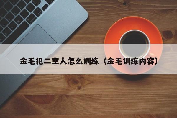 金毛犯二主人怎么训练（金毛训练内容）