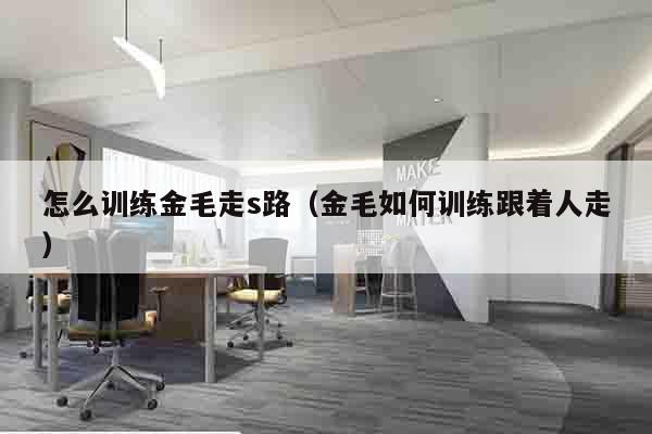 怎么训练金毛走s路（金毛如何训练跟着人走）