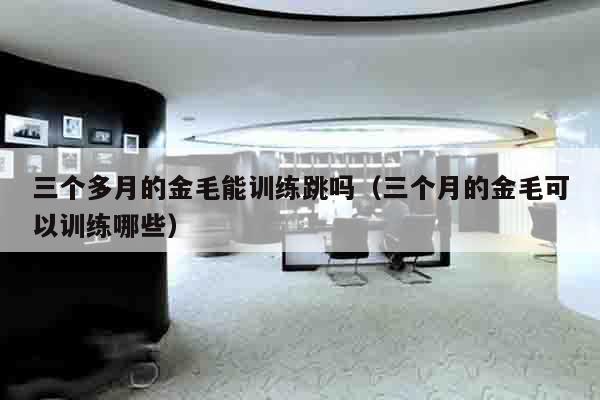 三个多月的金毛能训练跳吗（三个月的金毛可以训练哪些）