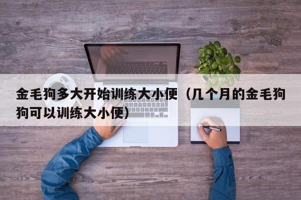 金毛狗多大开始训练大小便（几个月的金毛狗狗可以训练大小便）