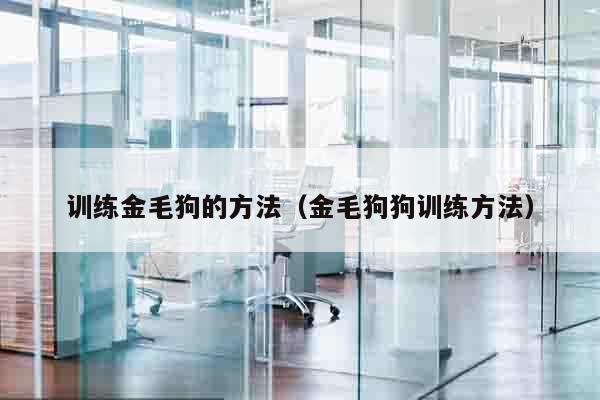 训练金毛狗的方法（金毛狗狗训练方法）