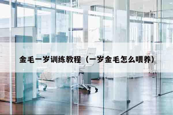 金毛一岁训练教程（一岁金毛怎么喂养）