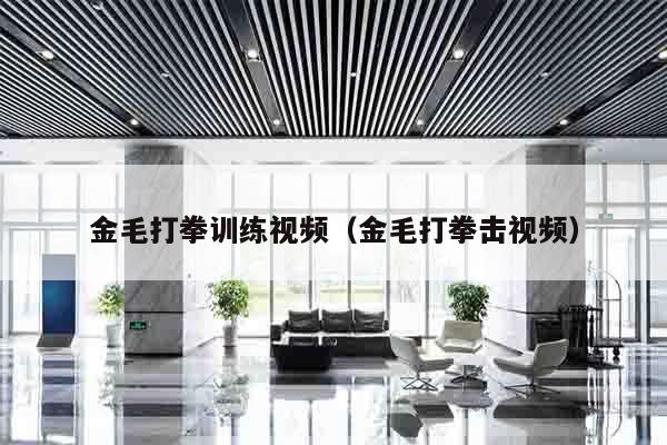 金毛打拳训练视频（金毛打拳击视频）