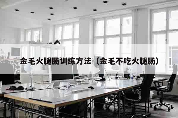 金毛火腿肠训练方法（金毛不吃火腿肠）