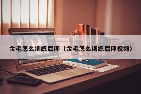 金毛怎么训练后仰（金毛怎么训练后仰视频）