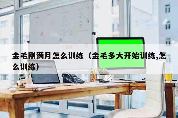 金毛刚满月怎么训练（金毛多大开始训练,怎么训练）