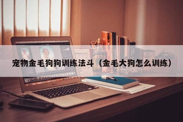 宠物金毛狗狗训练法斗（金毛大狗怎么训练）