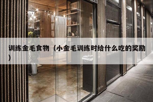 训练金毛食物（小金毛训练时给什么吃的奖励）