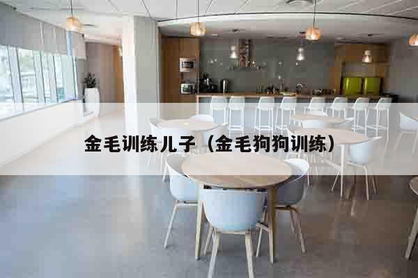 金毛训练儿子（金毛狗狗训练）