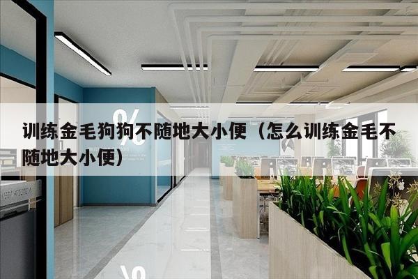 训练金毛狗狗不随地大小便（怎么训练金毛不随地大小便）