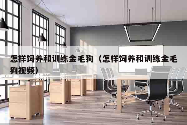 怎样饲养和训练金毛狗（怎样饲养和训练金毛狗视频）