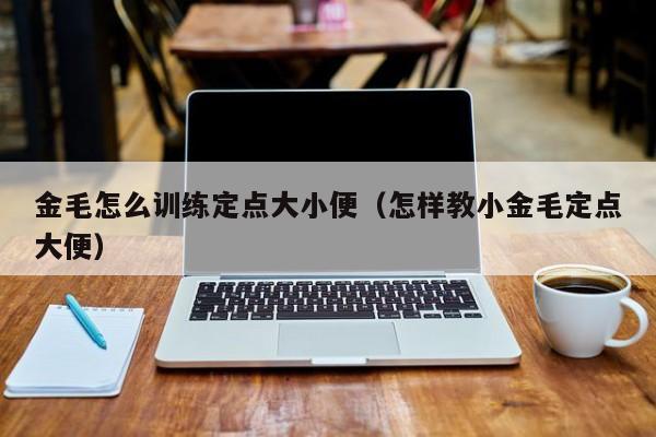 金毛怎么训练定点大小便（怎样教小金毛定点大便）