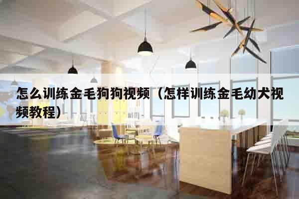 怎么训练金毛狗狗视频（怎样训练金毛幼犬视频教程）