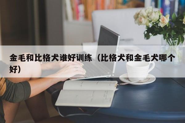 金毛和比格犬谁好训练（比格犬和金毛犬哪个好）