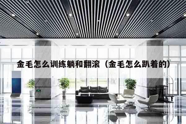 金毛怎么训练躺和翻滚（金毛怎么趴着的）