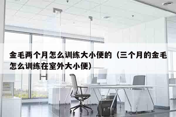 金毛两个月怎么训练大小便的（三个月的金毛怎么训练在室外大小便）