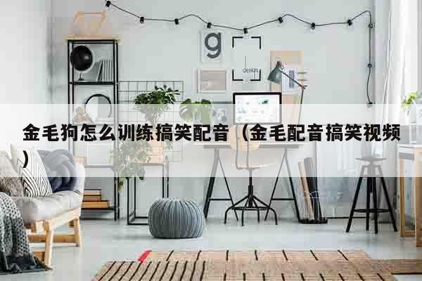 金毛狗怎么训练搞笑配音（金毛配音搞笑视频）
