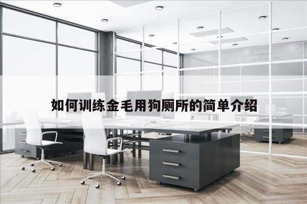 如何训练金毛用狗厕所的简单介绍