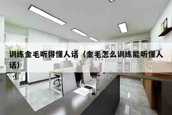 训练金毛听得懂人话（金毛怎么训练能听懂人话）