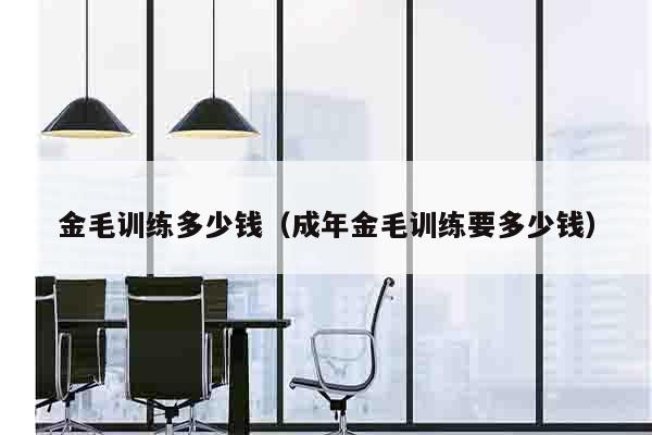 金毛训练多少钱（成年金毛训练要多少钱）