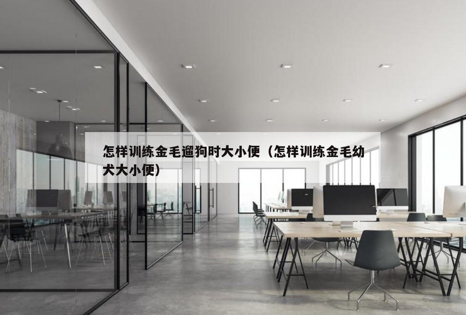 怎样训练金毛遛狗时大小便（怎样训练金毛幼犬大小便）
