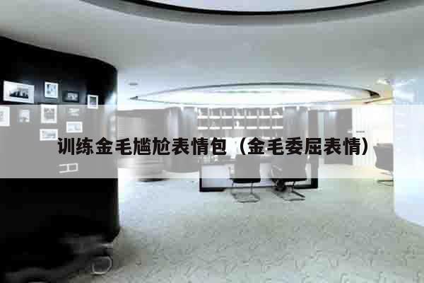 训练金毛尴尬表情包（金毛委屈表情）