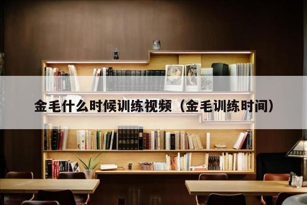 金毛什么时候训练视频（金毛训练时间）