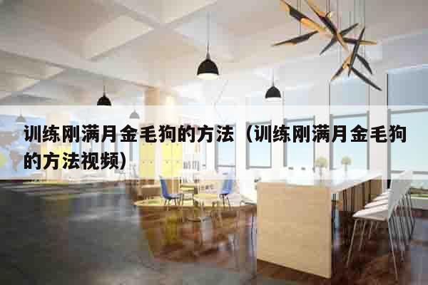 训练刚满月金毛狗的方法（训练刚满月金毛狗的方法视频）