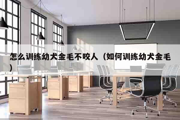 怎么训练幼犬金毛不咬人（如何训练幼犬金毛）