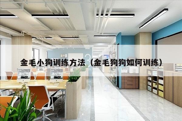 金毛小狗训练方法（金毛狗狗如何训练）