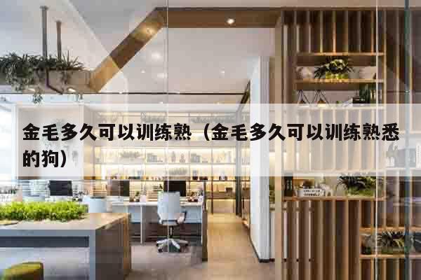 金毛多久可以训练熟（金毛多久可以训练熟悉的狗）