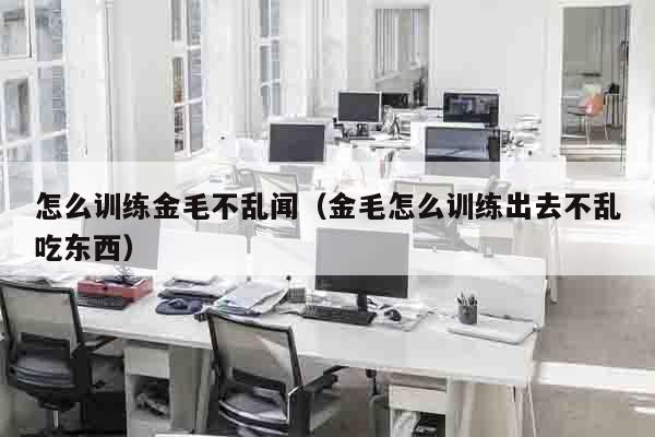 怎么训练金毛不乱闻（金毛怎么训练出去不乱吃东西）
