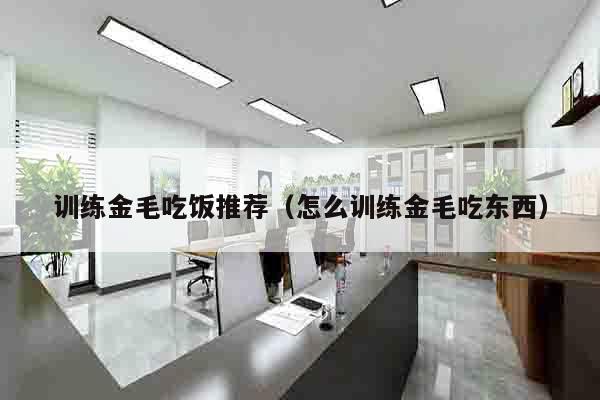 训练金毛吃饭推荐（怎么训练金毛吃东西）