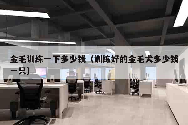 金毛训练一下多少钱（训练好的金毛犬多少钱一只）