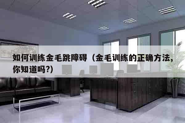 如何训练金毛跳障碍（金毛训练的正确方法,你知道吗?）