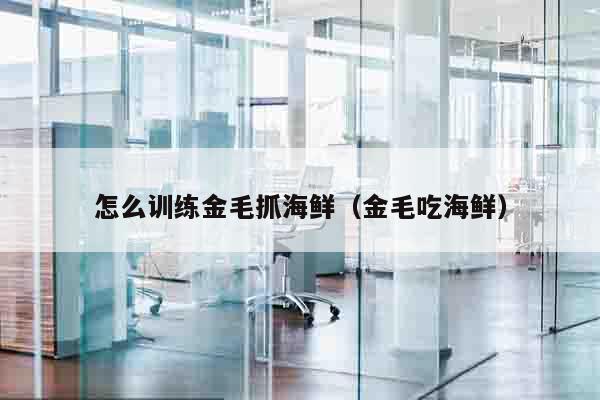 怎么训练金毛抓海鲜（金毛吃海鲜）