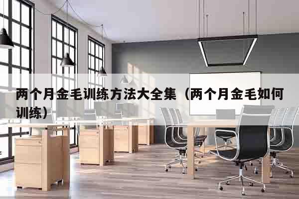 两个月金毛训练方法大全集（两个月金毛如何训练）