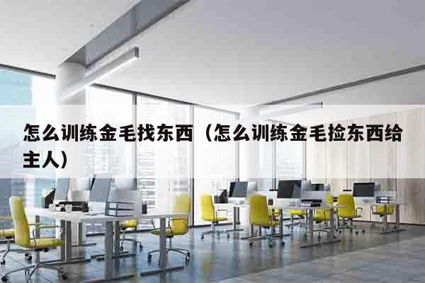 怎么训练金毛找东西（怎么训练金毛捡东西给主人）