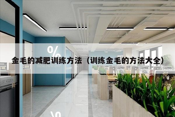 金毛的减肥训练方法（训练金毛的方法大全）
