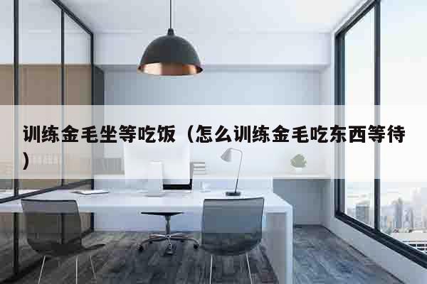 训练金毛坐等吃饭（怎么训练金毛吃东西等待）